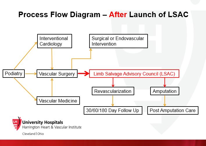 Process Flow Diagram - After LSAC